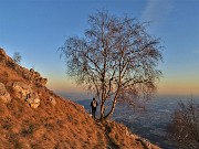 In Linzone (1392 m) da Roncola ad anello-12febb22-FOTOGALLERY